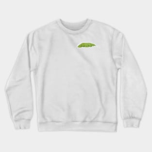 Musa Paradisiaca | Plant Crewneck Sweatshirt